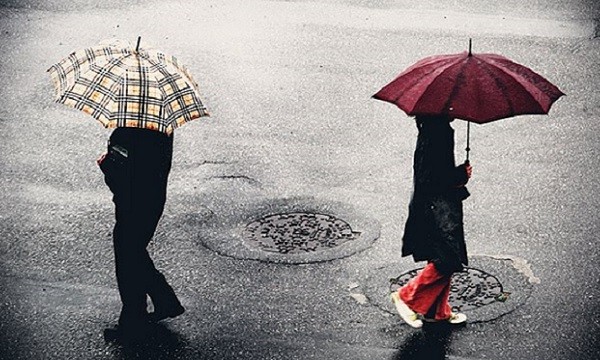 separação, divórcio, casal com guarda-chuva, casal se separando, casal andando na chuva