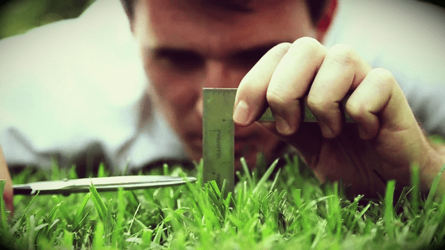 perfeccionismo, homem cortando grama
