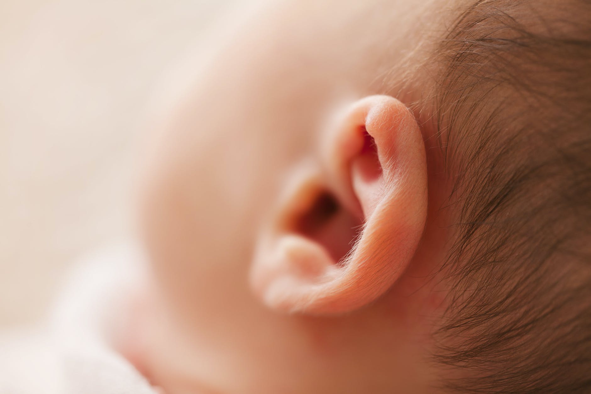 macro photography of babys ear não seja babaca com suas crianças