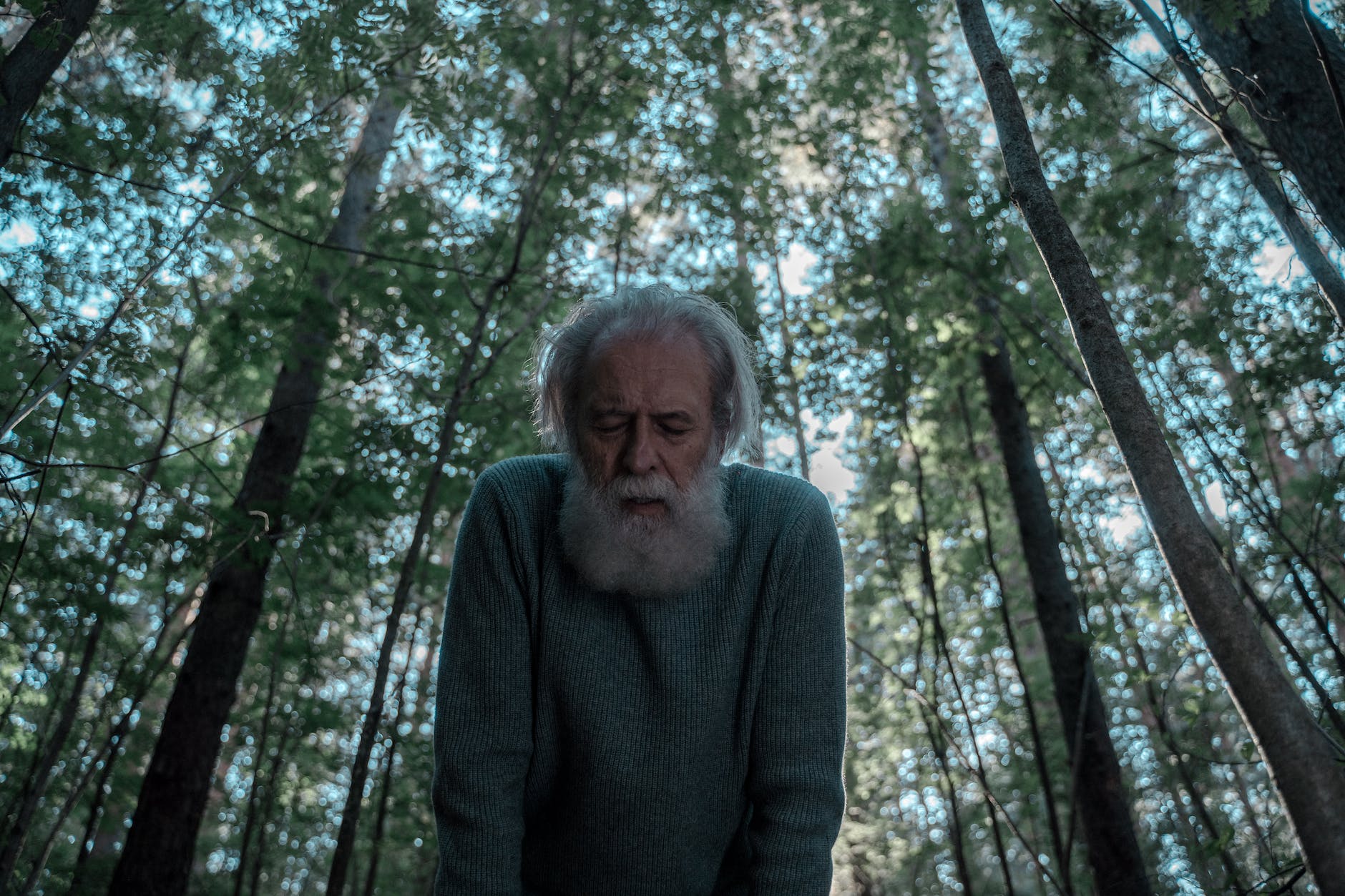 sad senior man with white beard in forest Amor-próprio e solidão 