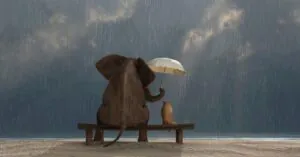 generosidade, gentileza, altruísmo, felicidade